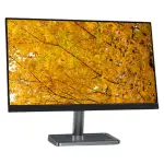 Lenovo L-Series 60.45 cm (24 inch) FHD IPS Ultraslim Monitor